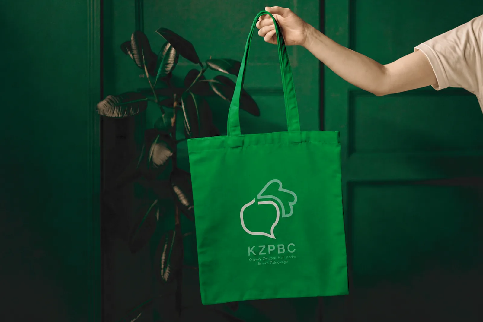KZPBC 8